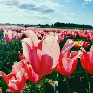 Meet your Posher, Karissa